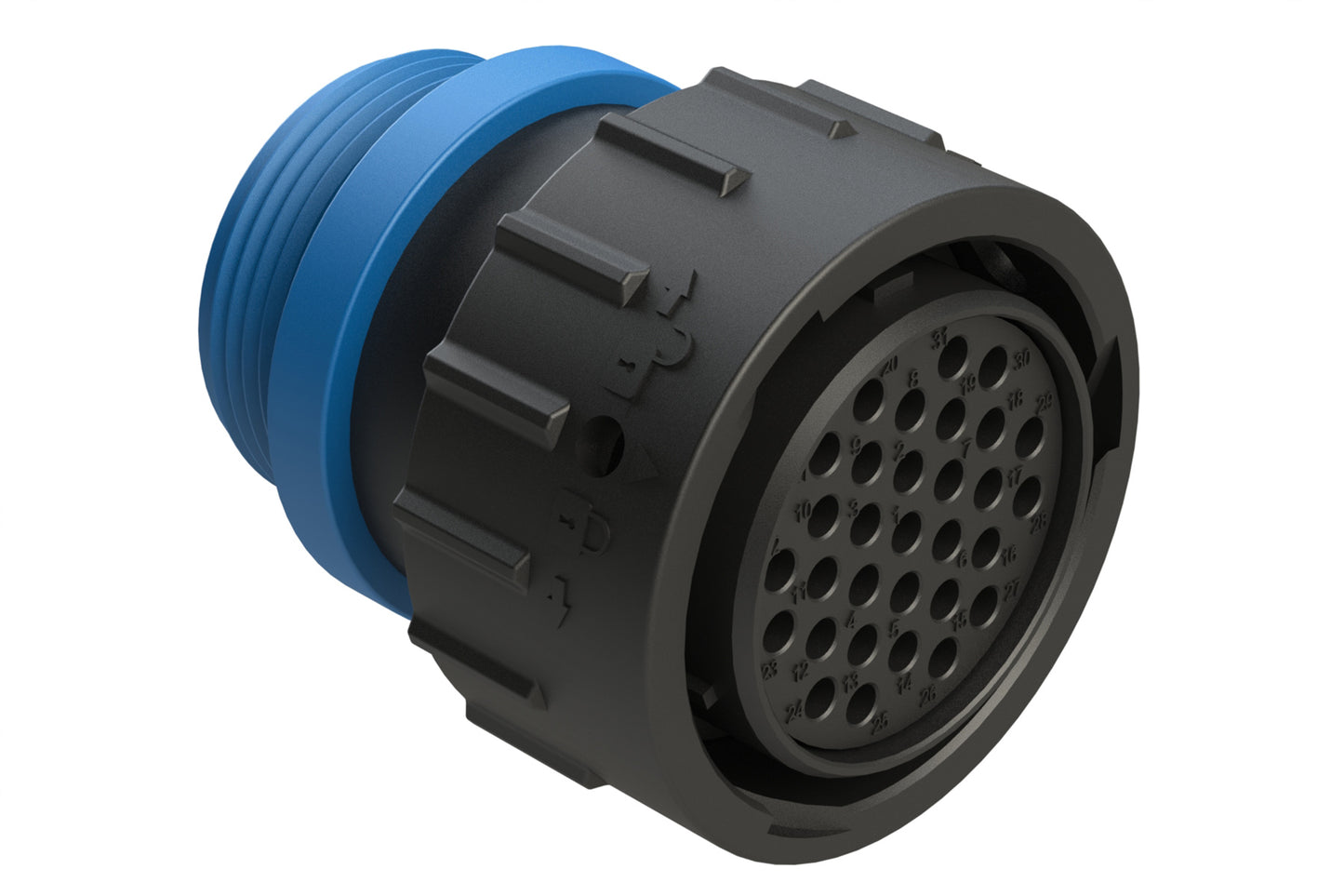 AHDP06-24-31SR-STA 31 Position Plug, Socket, Reduced Diameter Seal (Blue Adapter), Small Thread Adapter. HDP26-24-31SE-L015